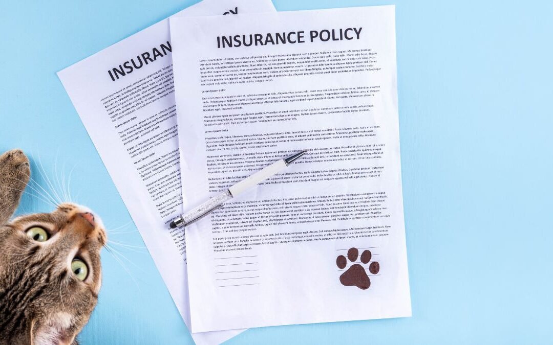 Do You Need an Insurance Agent for Cat Insurance?
