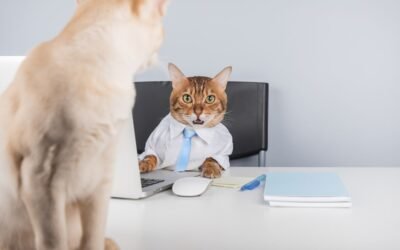Fraud Prevention in Cat Insurance: Protecting Policies and Pet Parents