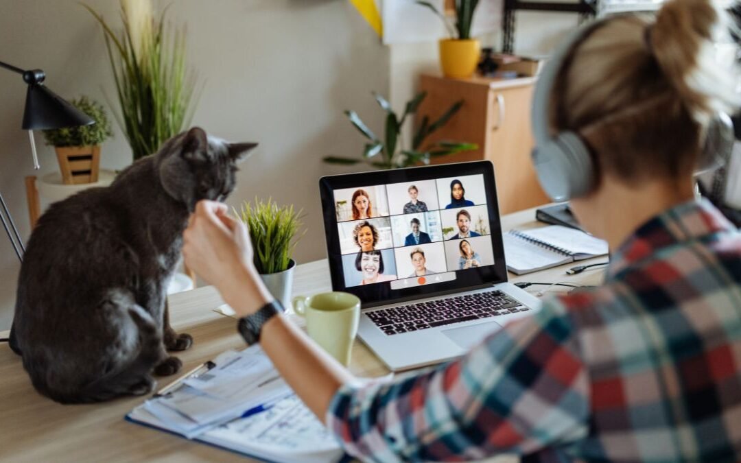 What Is Cat Insurance and Why It’s a Smart Move for Pet Owners