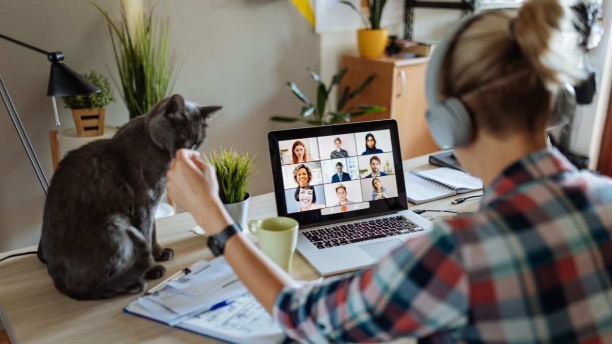 What Is Cat Insurance