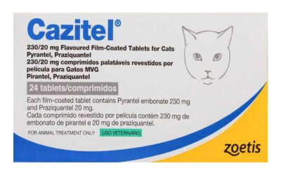 Cazitel Tablets for Cats: A Review of This Broad-Spectrum Deworming Solution
