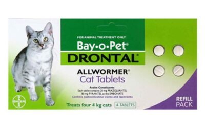 Drontal for Small Cats Review: Broad-Spectrum Worm Protection for Your Feline