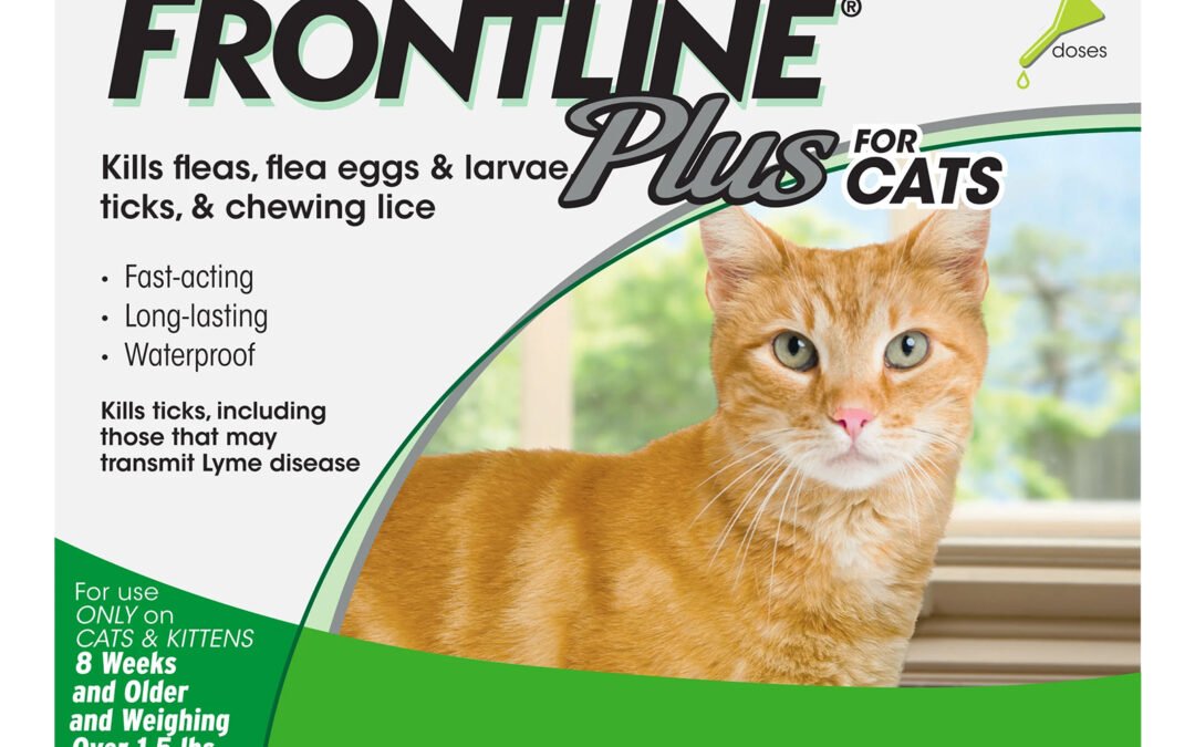 Frontline Plus for Cats Review: Reliable Month-Long Protection Against Fleas and Ticks