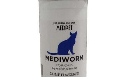 Mediworm for Cats Review: Reliable, Broad-Spectrum Deworming Made Easy