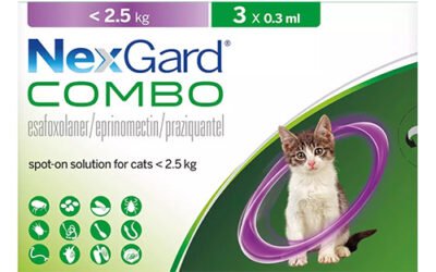 NexGard Combo for Cats: A Comprehensive Monthly Solution for Parasite Protection