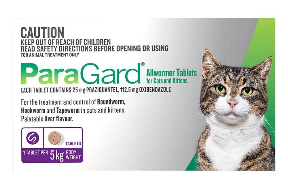 Paragard Wormer for Cats & Kittens: Complete Guide to Broad-Spectrum Deworming