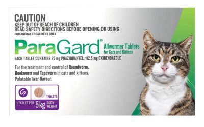 Paragard Wormer for Cats & Kittens: Complete Guide to Broad-Spectrum Deworming