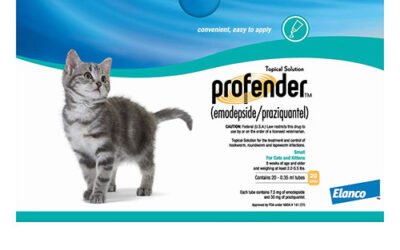 Profender for Cats Review: Easy, Broad-Spectrum Protection Against Intestinal Worms