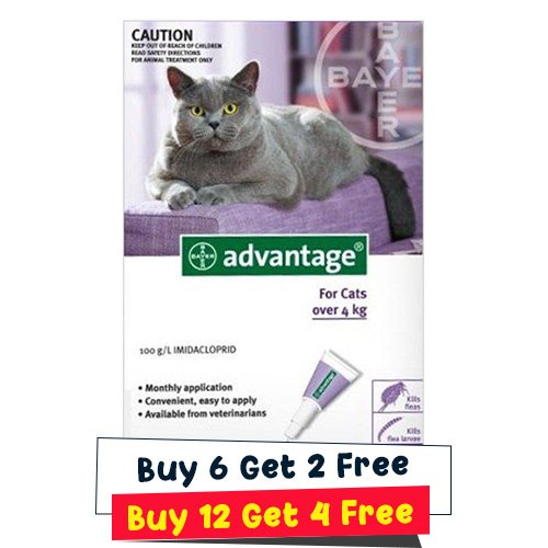 Advantage Flea Control for Large Cats: An Informed Product Review